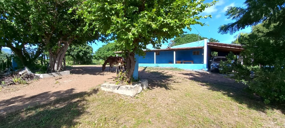 Sítio - Temporada - Sitio Tubarão - São José do Bonfim - PB