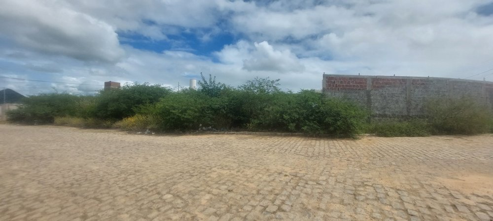 Terreno - Venda - Novo Horizonte - Patos - PB