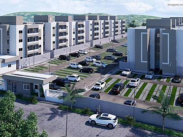 TERRA�O DAS CAM�LIAS