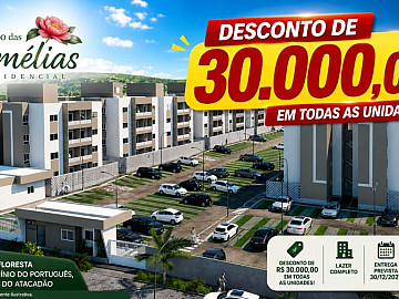 TERRA�O DAS CAM�LIAS